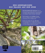 Buchcover und Innenansicht für das Buch: Forst erklärt: Warum wir den Wald brauchen - und er uns