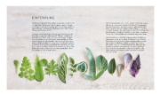 Buchcover und Innenansicht für das Buch: House plant