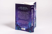 Buchcover und Innenansicht für das Buch: Very Secret Society Of Irregular Witches