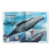 Buchcover und Innenansicht für das Buch: Trötsch Kinderbuch Das großartige Buch der Wale| Ab 8 Jahren