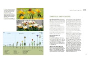 Buchcover und Innenansicht für das Buch: Mein schöner pflegeleichter Garten. Gewusst wie - geschickte Garten-Planung und Pflanzenauswahl