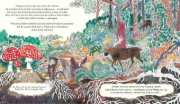 Buchcover und Innenansicht für das Buch: Green: The Story of Plant Life on Our Planet