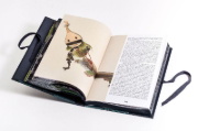 Buchcover und Innenansicht für das Buch: YOKAI MONSTER