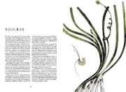 Buchcover und Innenansicht für das Buch: The book of vanishing species