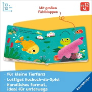 Buchcover und Innenansicht für das Buch: Wo bist du, kleiner Schmetterling?