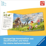 Buchcover und Innenansicht für das Buch: Lotta entdeckt die Welt: Im Frühling