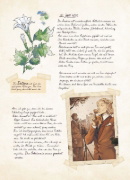 Buchcover und Innenansicht für das Buch: Le jardin des fees 2