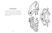 Buchcover und Innenansicht für das Buch: Animalium Coloring Book