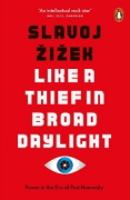 Buchcover und Innenansicht für das Buch: Like A Thief In Broad Daylight