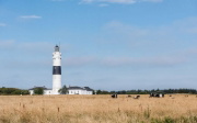 Buchcover und Innenansicht für das Buch: Gärten auf Sylt