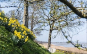 Buchcover und Innenansicht für das Buch: Gärten auf Sylt