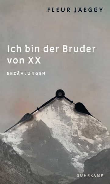 Buchcover und Innenansicht für das Buch: Sono il fratello di XX