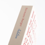 Buchcover und Innenansicht für das Buch: Schilten