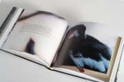 Buchcover und Innenansicht für das Buch: SAM BLOOM: HEARTACHE & BIRDSONG