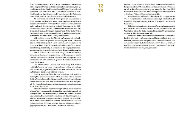 Buchcover und Innenansicht für das Buch: In der Frittatensuppe feiert die Provinz ihre Triumphe