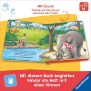 Buchcover und Innenansicht für das Buch: Hör mal hin - Wer brüllt hier? Im Zoo