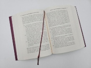 Buchcover und Innenansicht für das Buch: Der Elefant und die Blinden