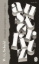Buchcover und Innenansicht für das Buch: Austerlitz