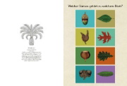 Buchcover und Innenansicht für das Buch: Botanicum Activity Book