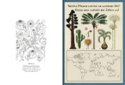Buchcover und Innenansicht für das Buch: Botanicum Activity Book