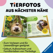 Buchcover und Innenansicht für das Buch: National Geographic Little Kids First Big Book of Baby Animals