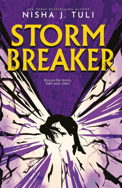 Buchcover und Innenansicht für das Buch: Storm Breaker
