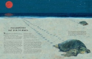 Buchcover und Innenansicht für das Buch: Migration: Incredible Animal Journeys