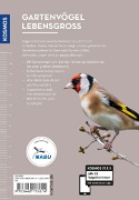 Buchcover und Innenansicht für das Buch: Gartenvögel lebensgroß