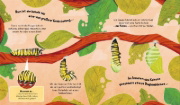 Buchcover und Innenansicht für das Buch: Watch Me Grow: Butterflies