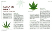 Buchcover und Innenansicht für das Buch: Cannabis-Anbau für Anfänger
