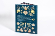 Buchcover und Innenansicht für das Buch: Anatomicum: Welcome to the Museum