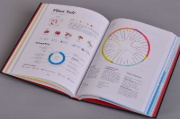 Buchcover und Innenansicht für das Buch: Wine Folly ¿ Magnum Edition. The Master Guide