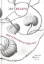 Buchcover und Innenansicht für das Buch: Regentonnenvariationen