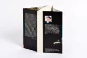 Buchcover und Innenansicht für das Buch: Düstere Geheimnisse