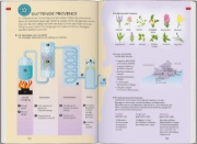 Buchcover und Innenansicht für das Buch: Baedeker Reiseführer Provence, Côte d'Azur