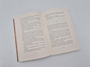 Buchcover und Innenansicht für das Buch: Das Bettelmädchen