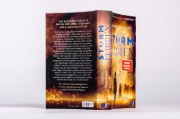 Buchcover und Innenansicht für das Buch: Sturmflirren