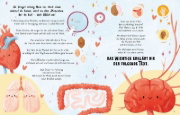 Buchcover und Innenansicht für das Buch: 5 Minute Human Body Stories
