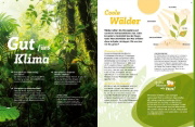 Buchcover und Innenansicht für das Buch: WAS IST WAS Der Wald. Zwischen Blättern und Zapfen