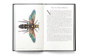 Buchcover und Innenansicht für das Buch: The Wonder of Insects