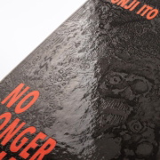 Buchcover und Innenansicht für das Buch: Ningen Shikkaku