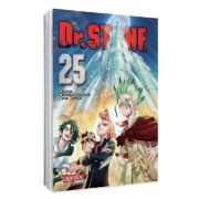 Buchcover und Innenansicht für das Buch: Dr. Stone