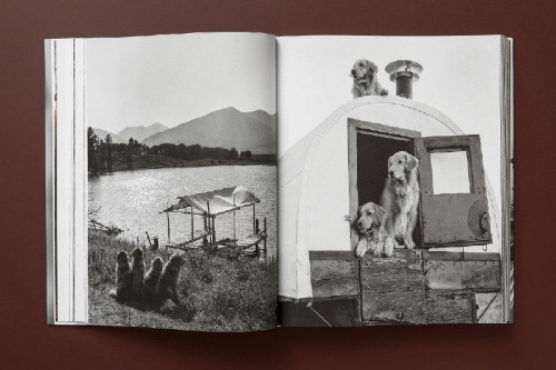 Buchcover und Innenansicht für das Buch: Bruce Weber. The Golden Retriever Photographic Society