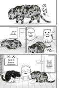 Buchcover und Innenansicht für das Buch: Tsure-neko Maruru to Hachi