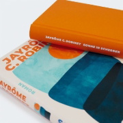 Buchcover und Innenansicht für das Buch: Sonne in Scherben