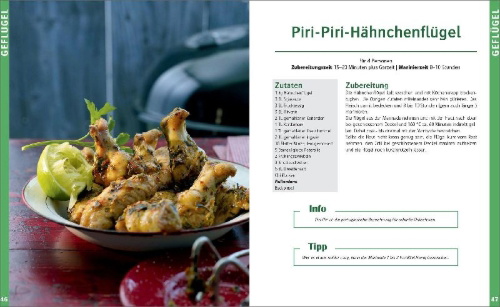 Buchcover und Innenansicht für das Buch: Gasgrill - Die besten Rezepte für Fleisch, Fisch, Gemüse, Desserts, Grillsaucen, Dips, Marinaden u.v.m. Bewusst grillen und genießen