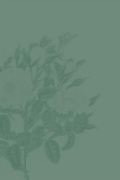 Buchcover und Innenansicht für das Buch: Die Damen mit dem grünen Daumen