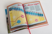 Buchcover und Innenansicht für das Buch: Das große 11 Freunde Buch