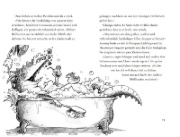Buchcover und Innenansicht für das Buch: Drachendetektiv Schuppe - Chaos im Zauberwald