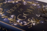Buchcover und Innenansicht für das Buch: Reign of Gods - Verflucht